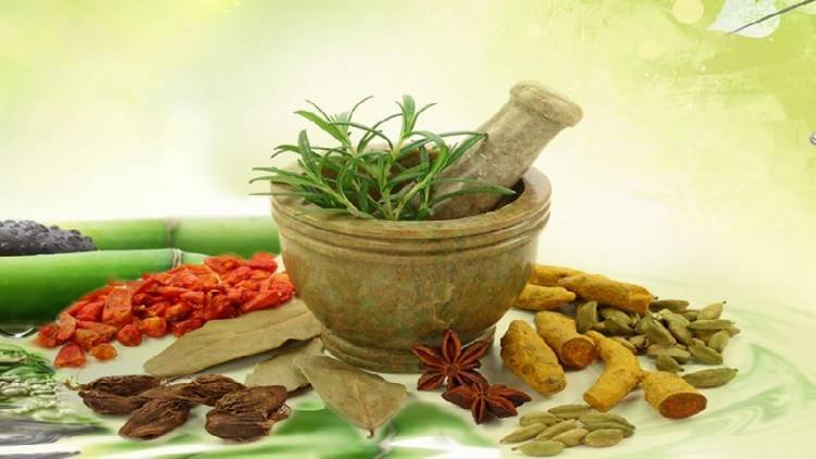 Researchers developing ayurvedic alternatives for treating bacterial, fungal infections