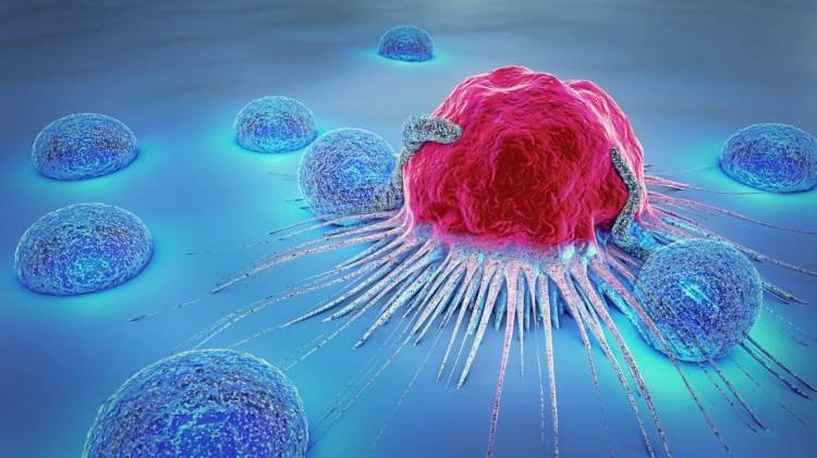 Cancer cells are quick-change artists adapting to their environment
