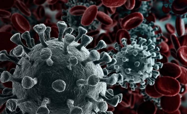 Coronavirus: Health research body may suggest alternative medicines