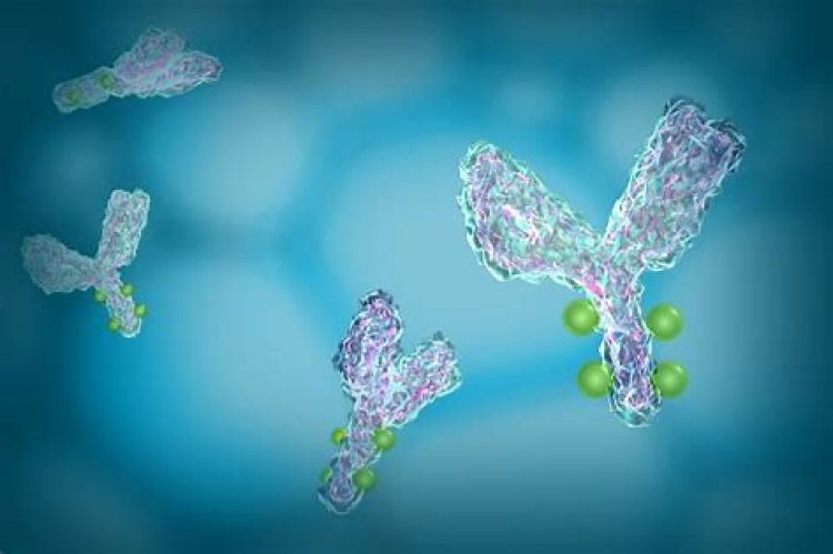 GeneQuantum and AIMEDBIO Collaborate on a First-in-Class Antibody -Drug-Conjugate