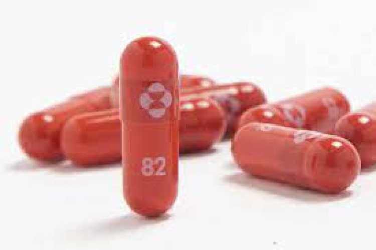 Merck & Co Raises 2022 Forecast as COVID-19 Pill, Cancer Drug Fuels Profit Beat